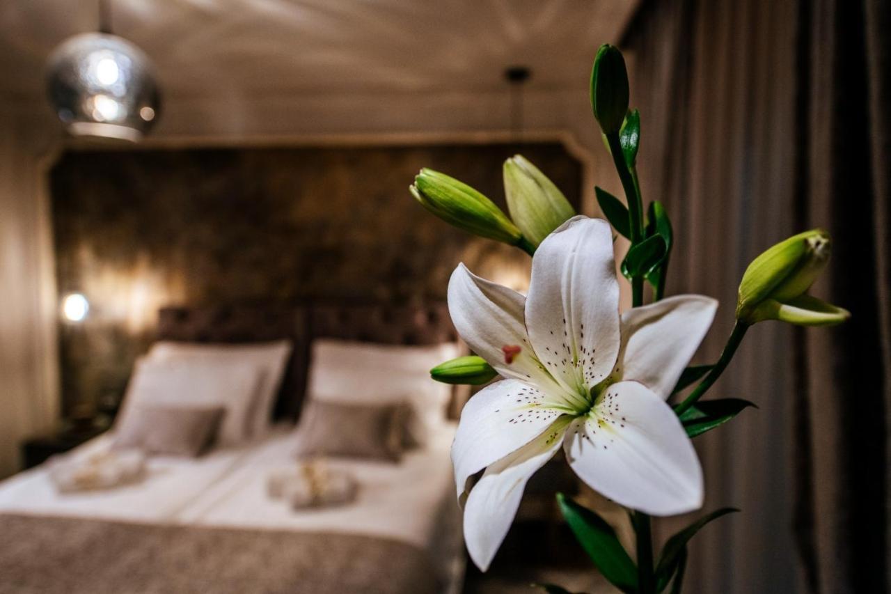 Luxury Rooms Vindemiae Zadar Bagian luar foto
